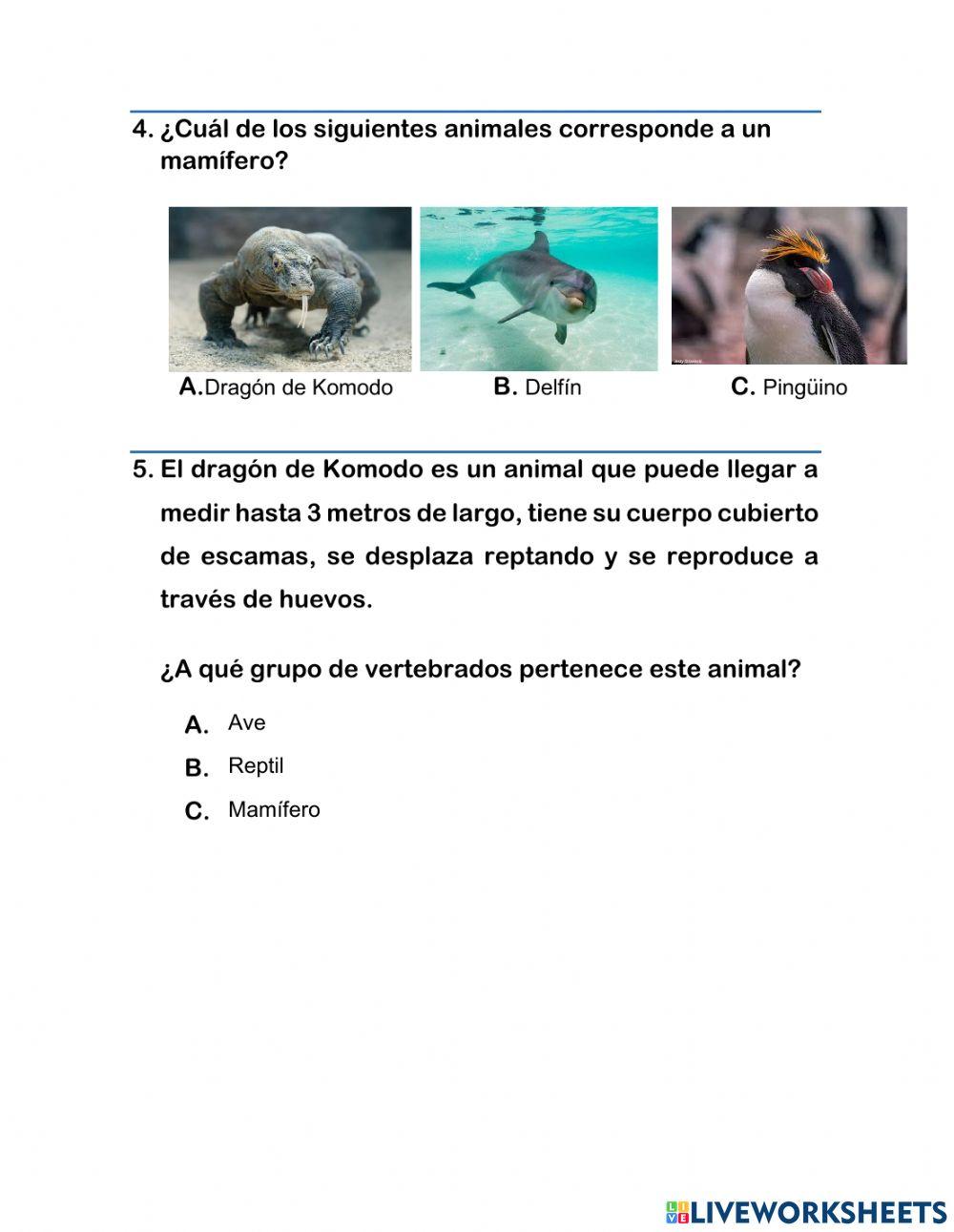 Animales Vertebrados