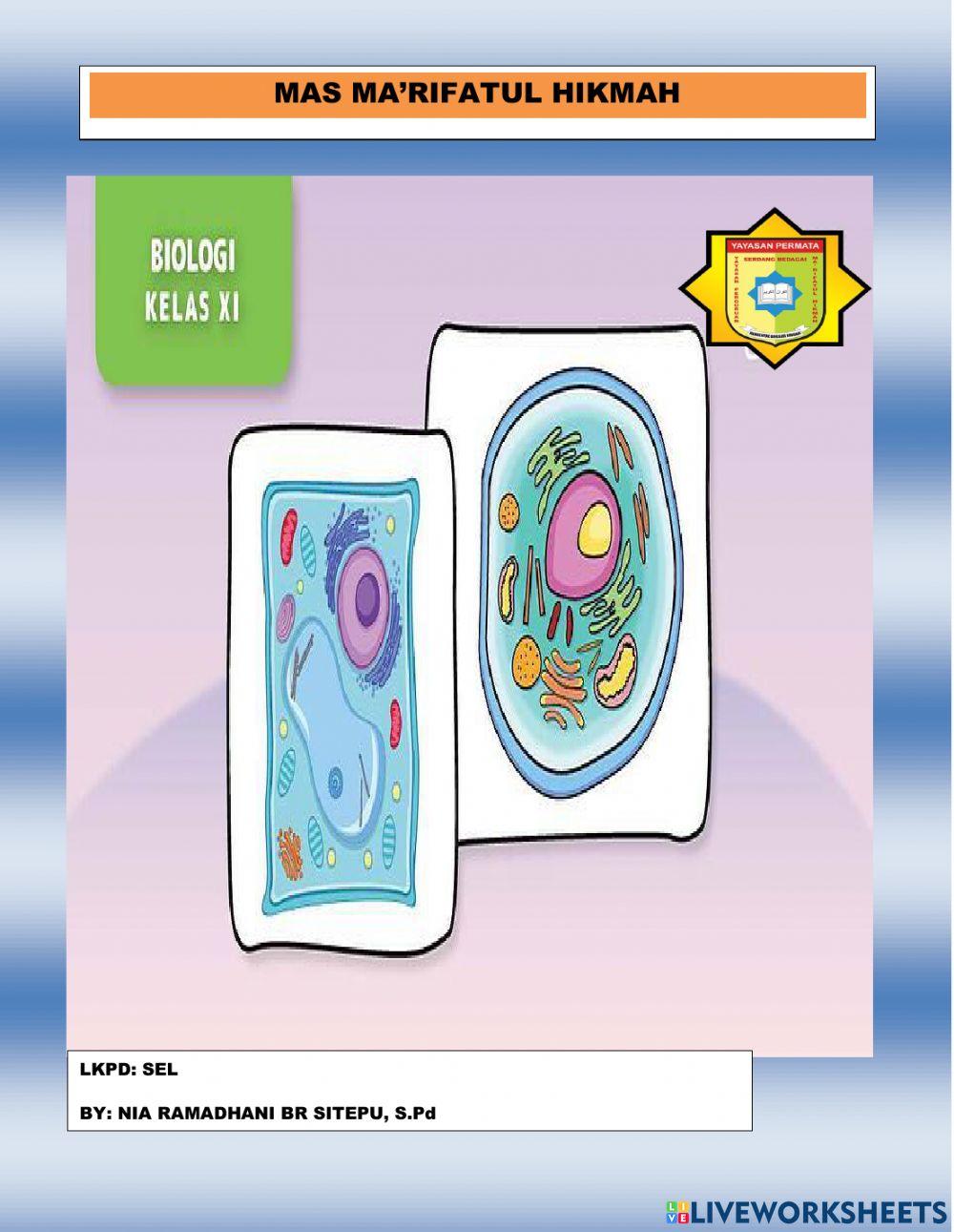Lkpd: Sel