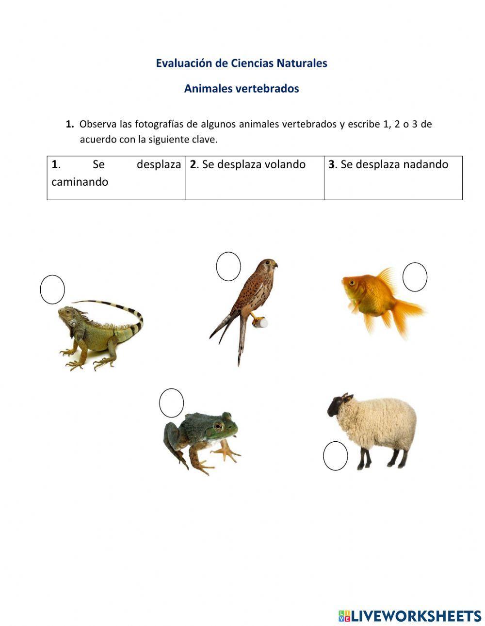 Animales Vertebrados