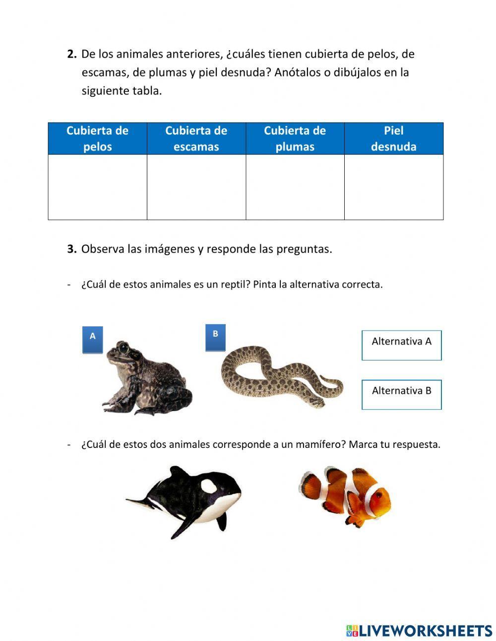 Animales Vertebrados