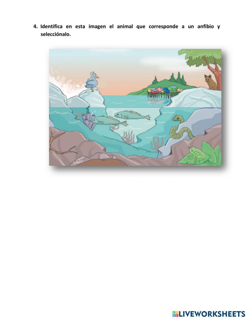 Animales Vertebrados