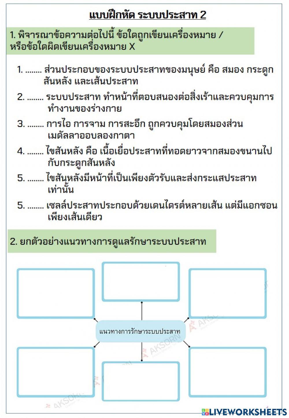 ระบบประสาท 3