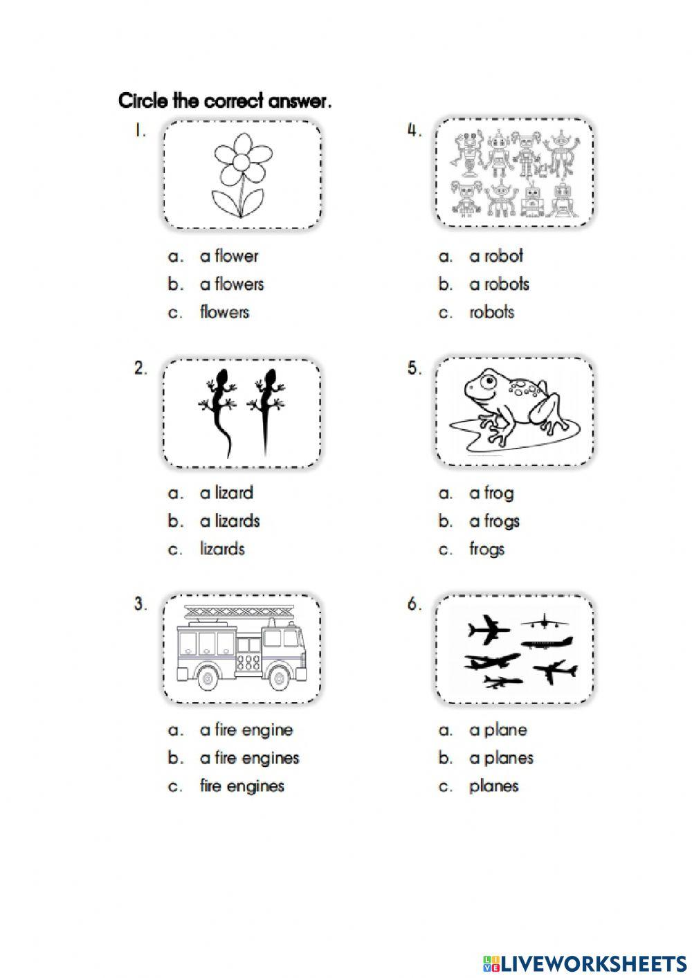 Singular and plural nouns