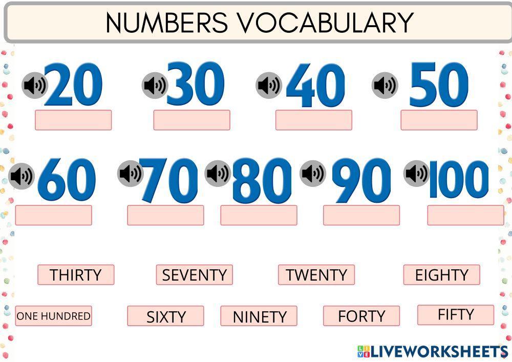 NUMBERS Vocabulary