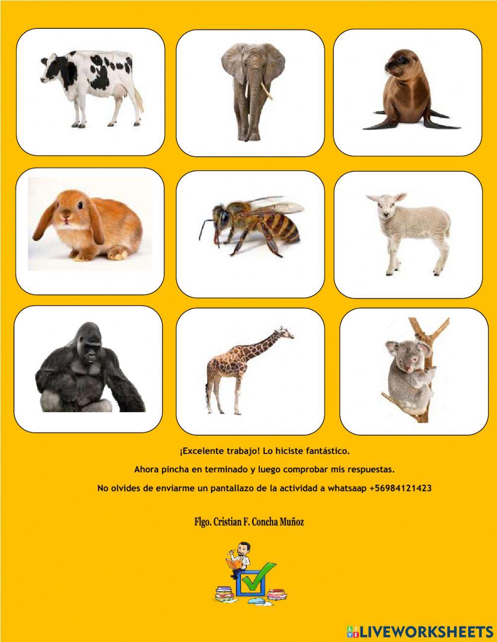 Sonido final vocálico