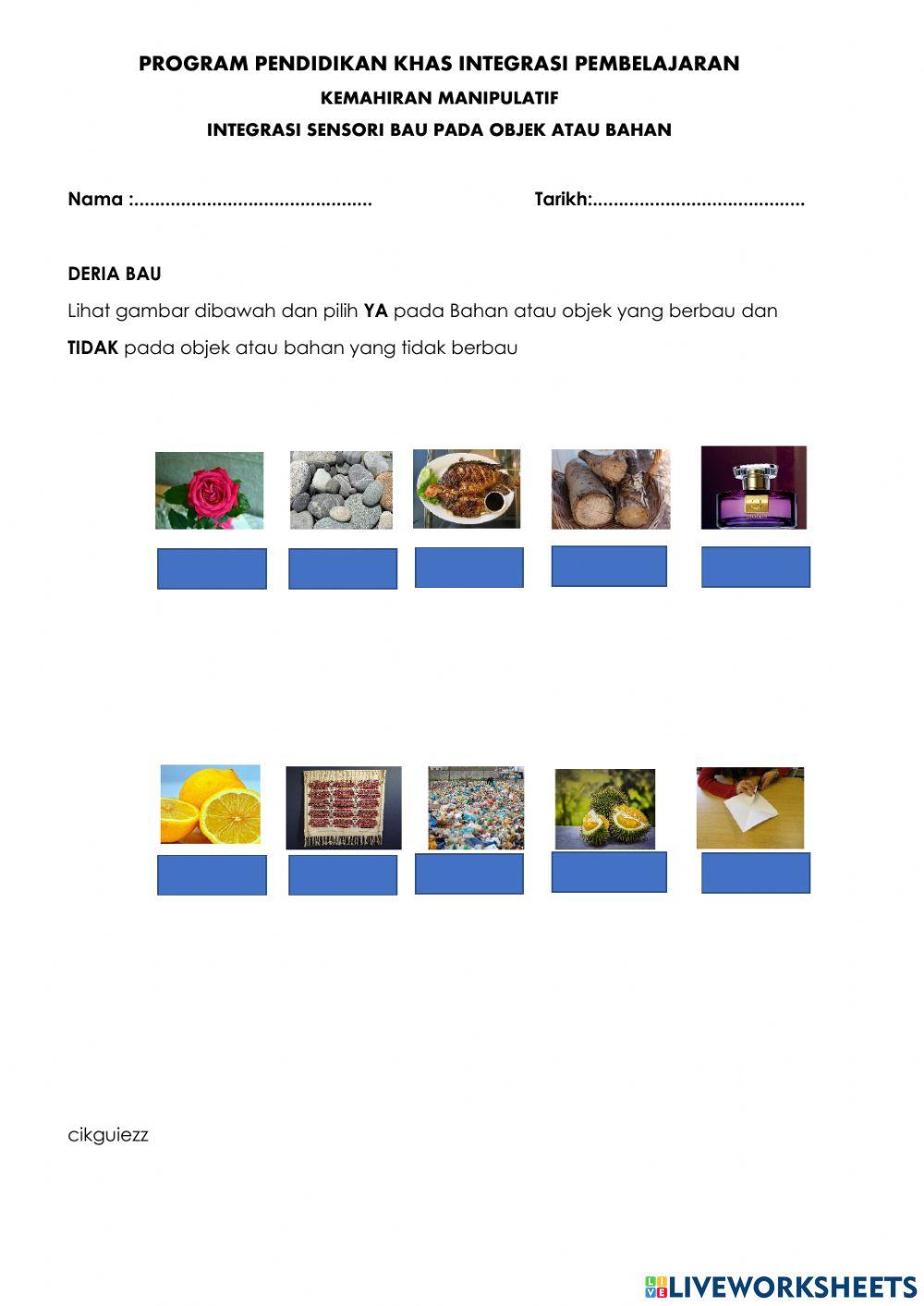 Membezakan Bau Objek