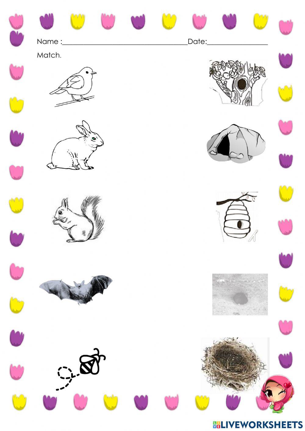 Unit 8: Home Sweet Home