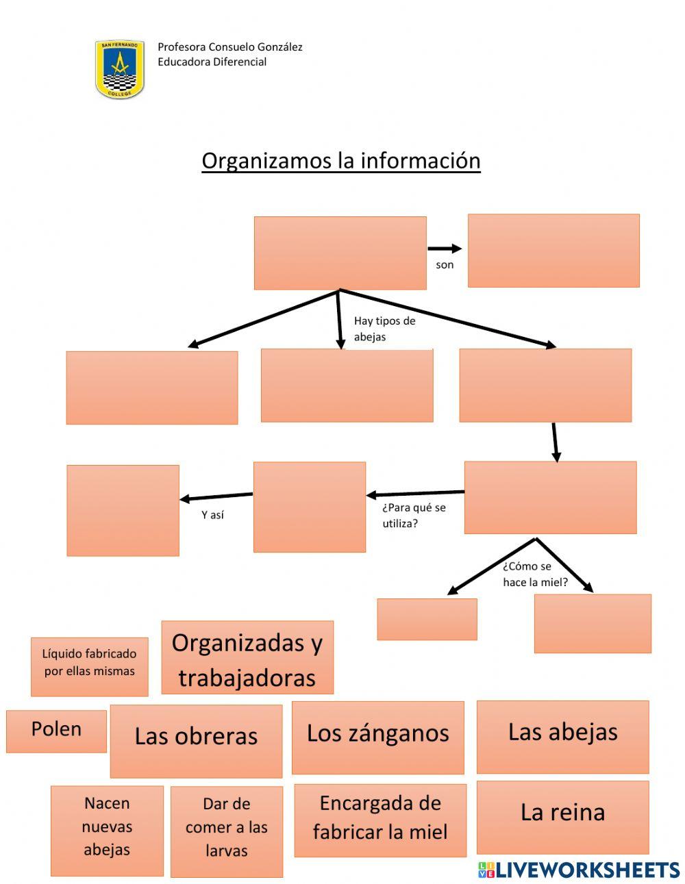 Organizador
