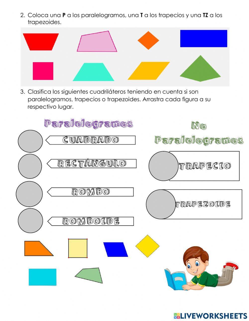 Clasificacion cuadrilateros