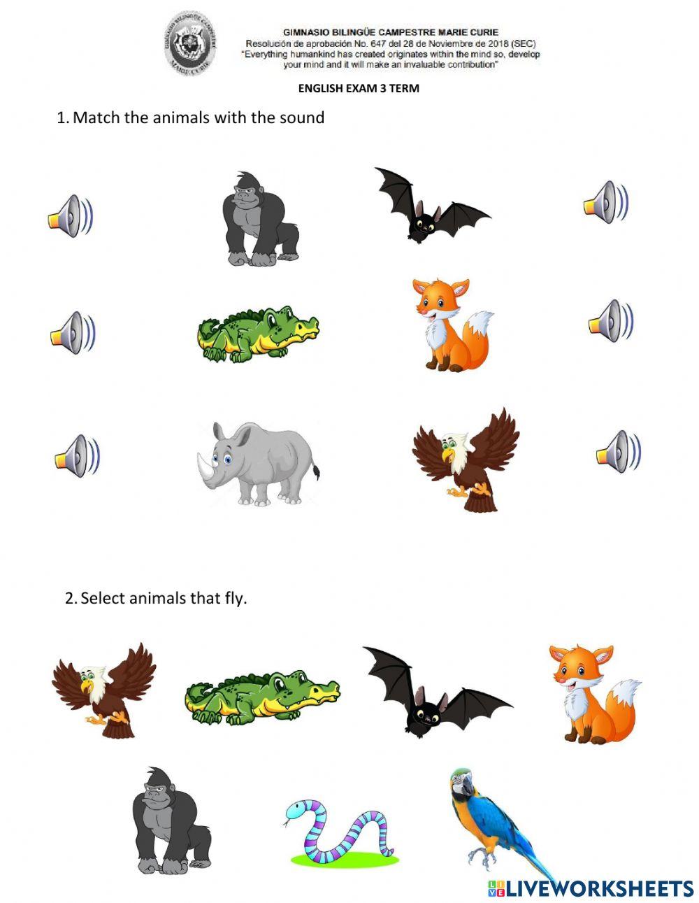 English exam 3 Term....