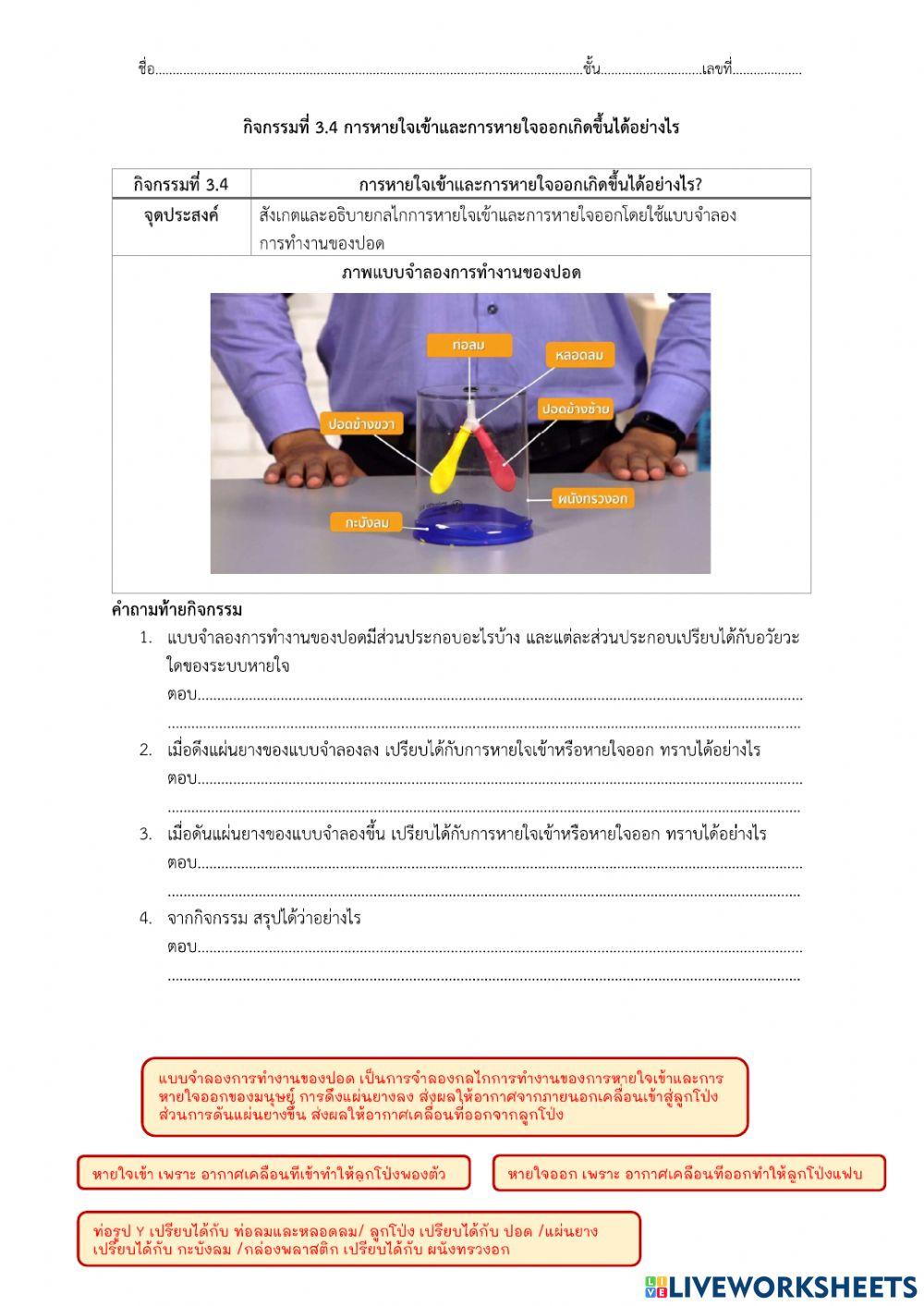 Liveworksheets ระบบหายใจ 2