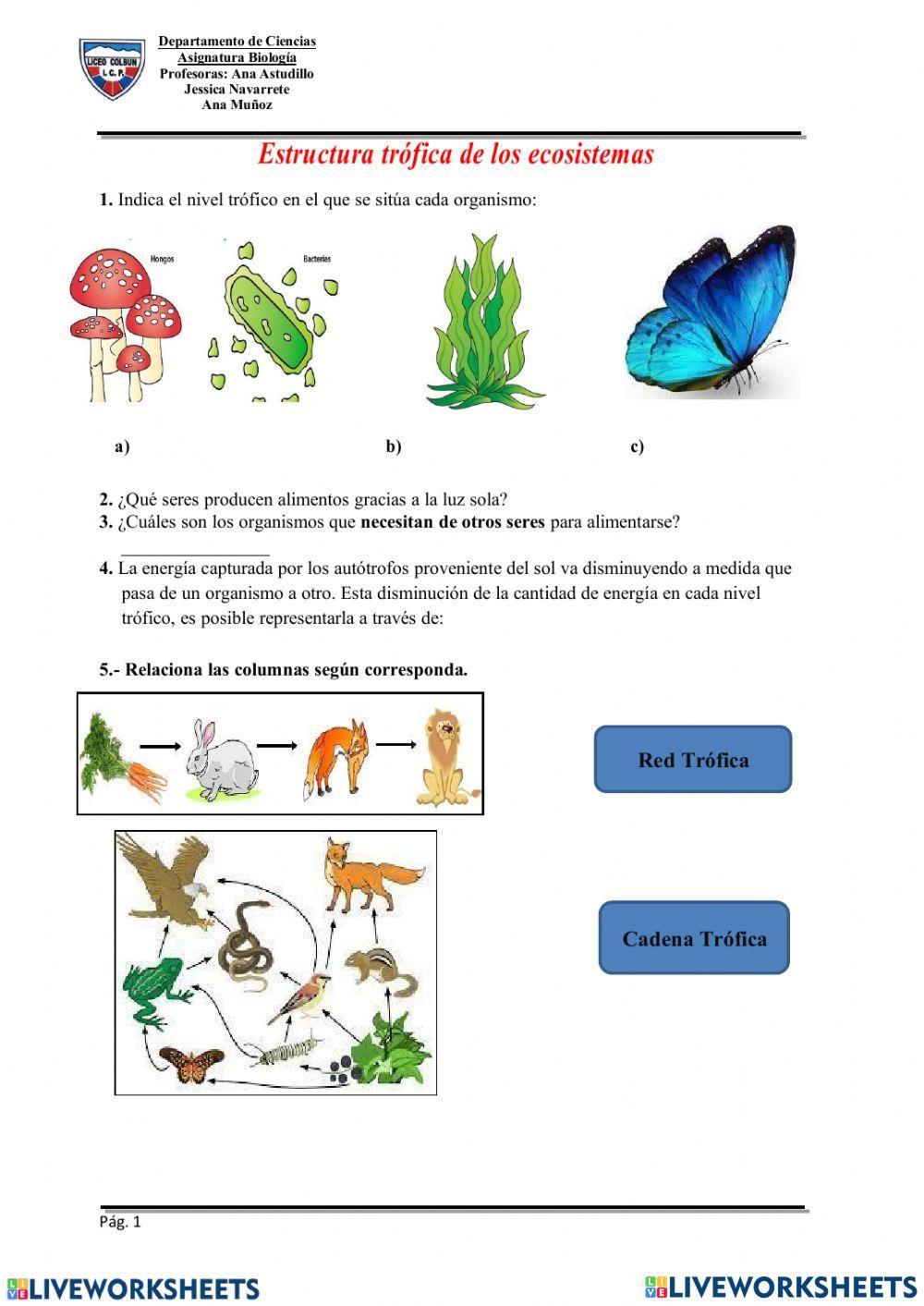 Cadenas y Redes Tróficas