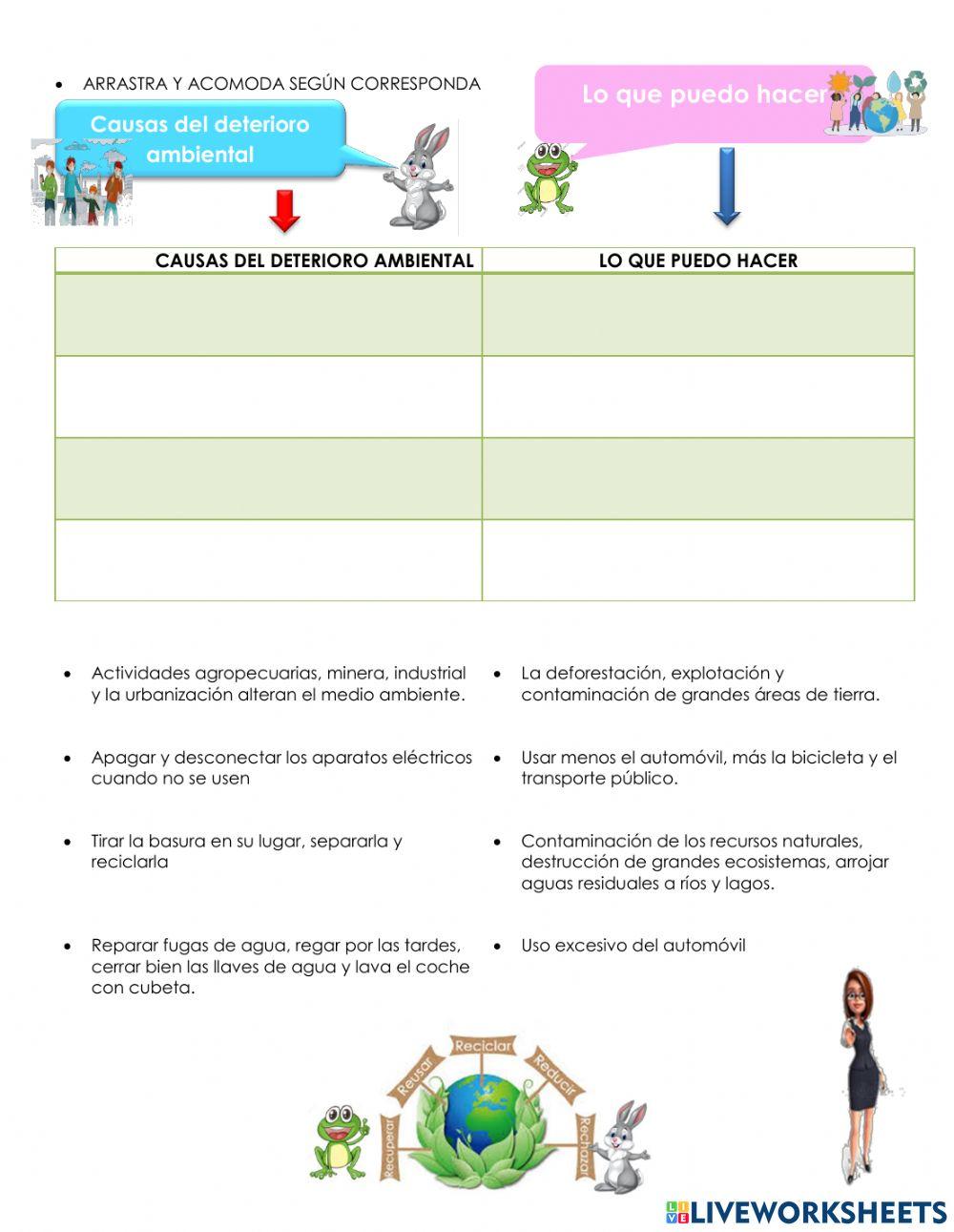 Cuidado del ambiente