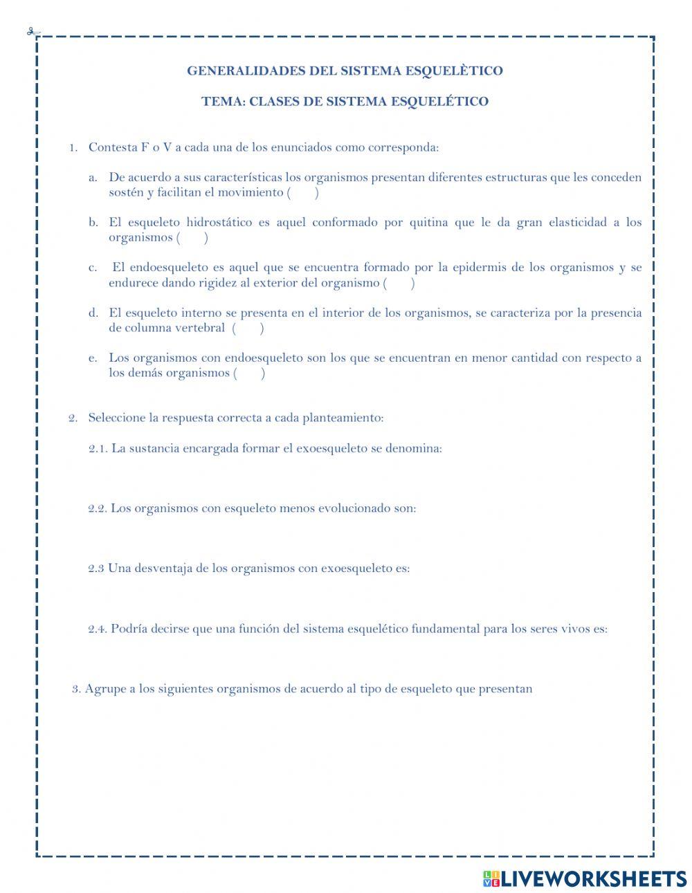 Generalidades del sistema esquelètico