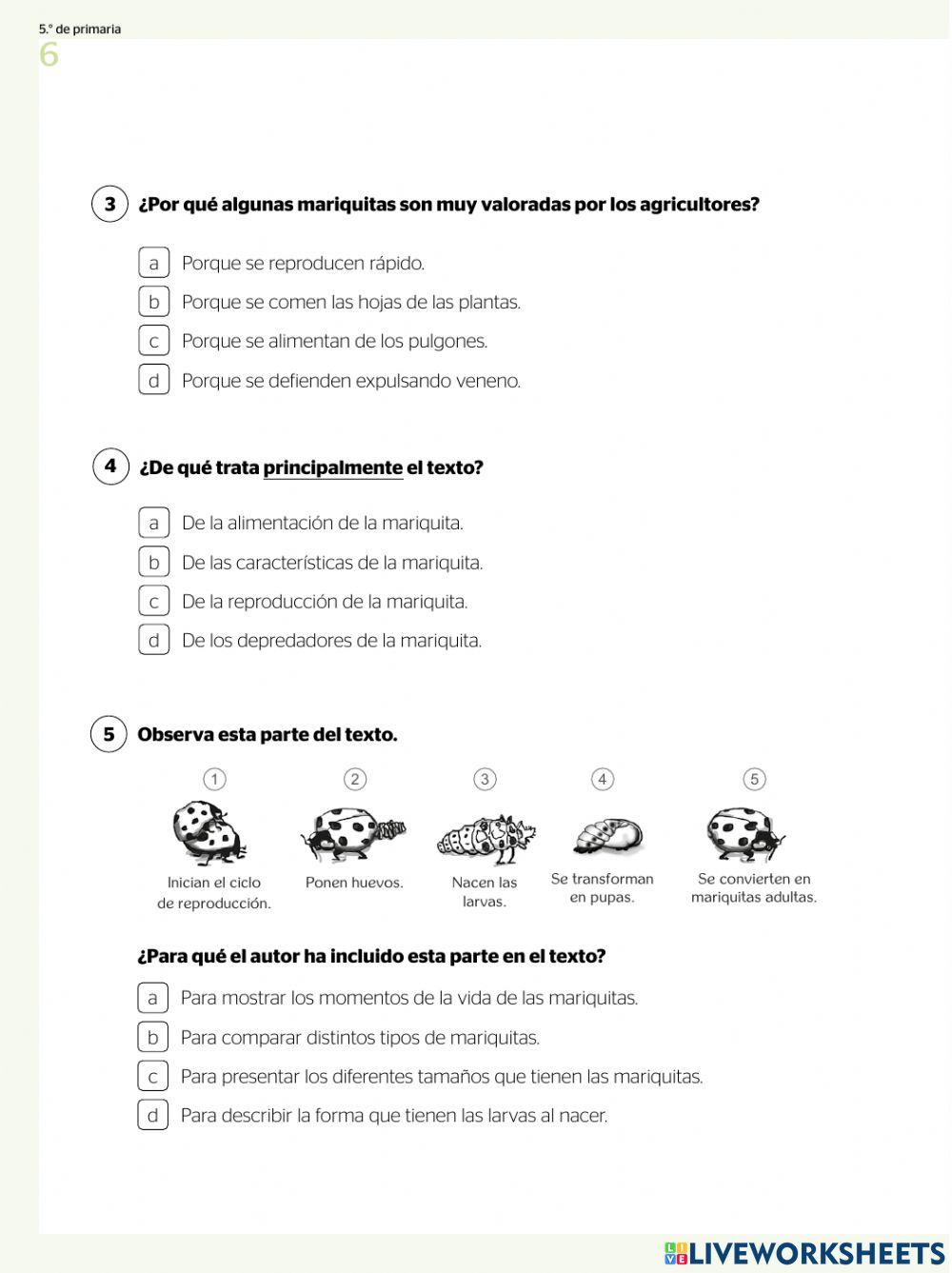 Evaluación Diagnostica de Comprensión Lectora