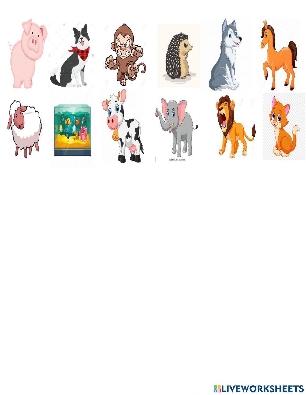 Animales domésticos, salvajes, granja