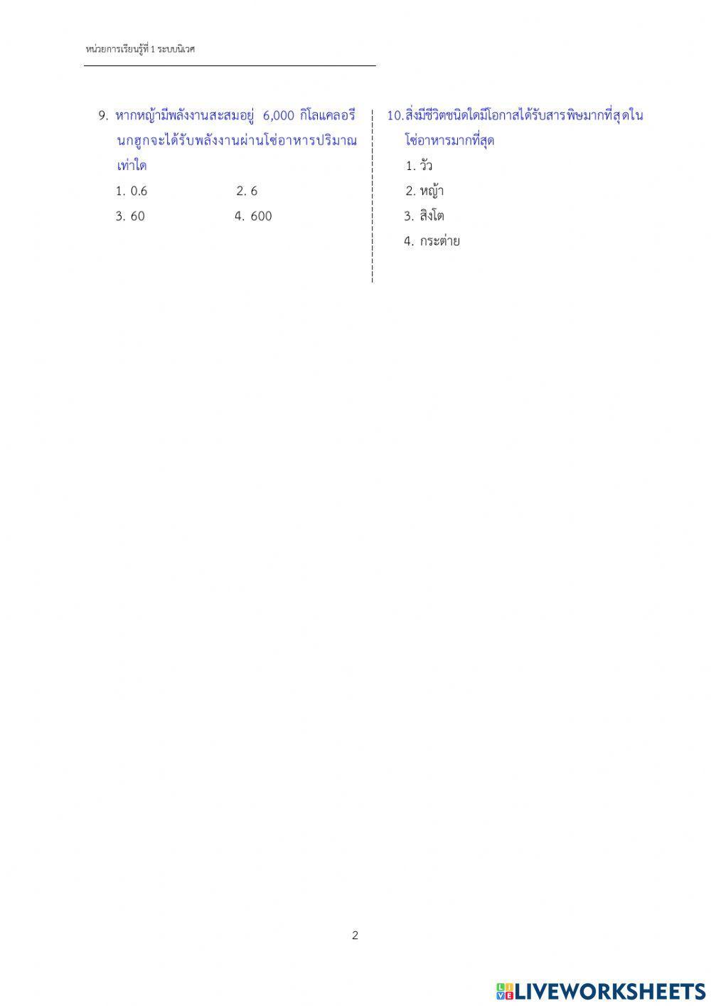 แบบทดสอบระบบนิเวศ