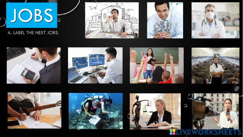 Jobs - personality traits