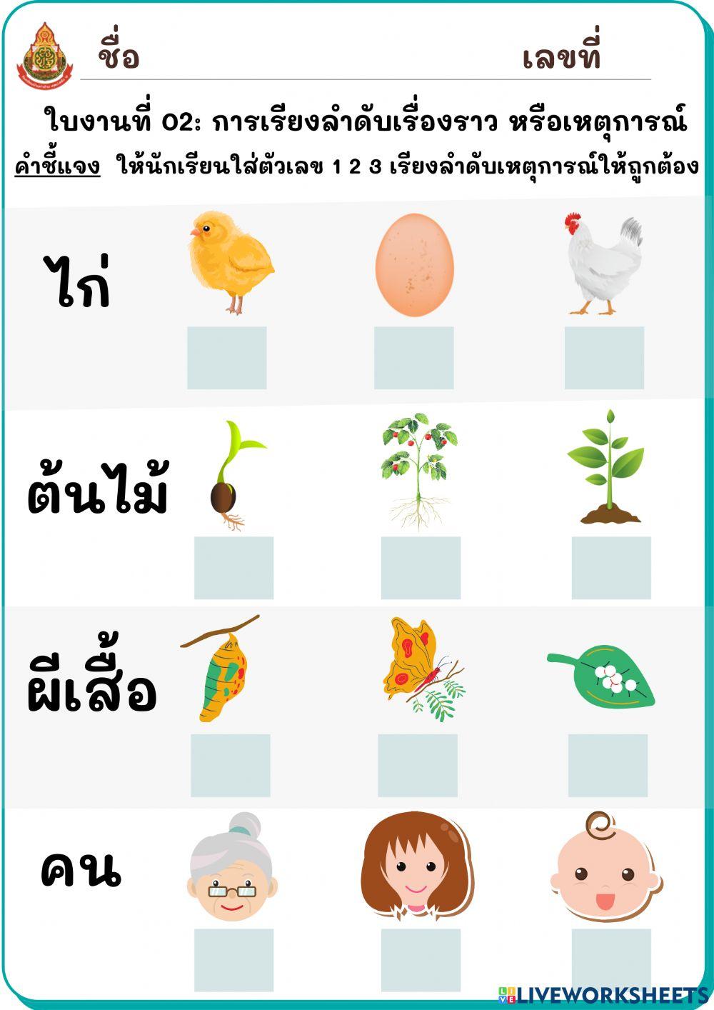 Btk-ป.1-วิทยาการคำนวณ-2