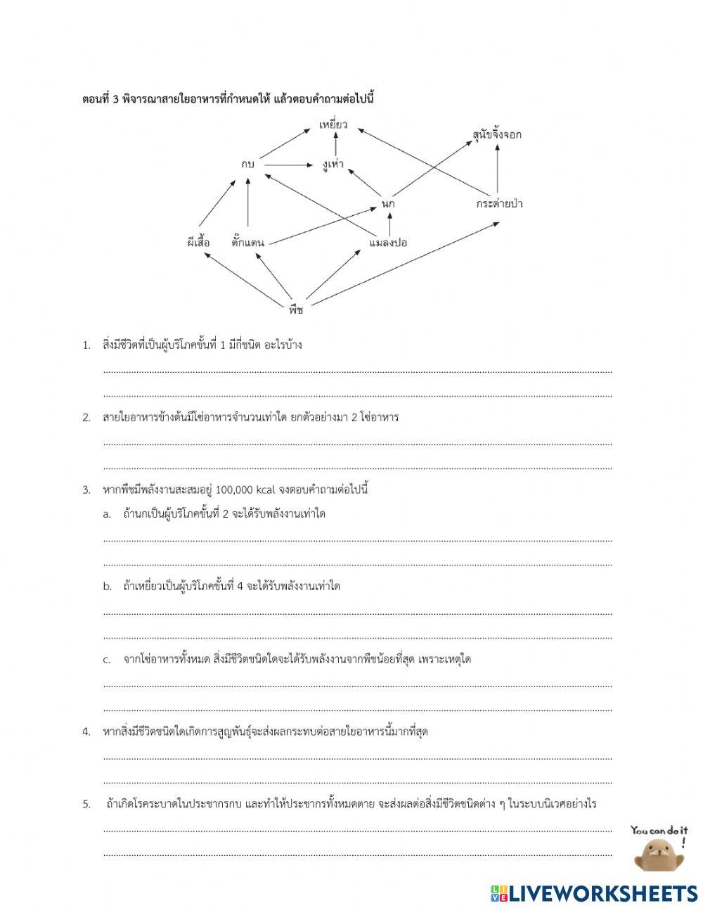 องค์ประกอบของระบบนิเวศ