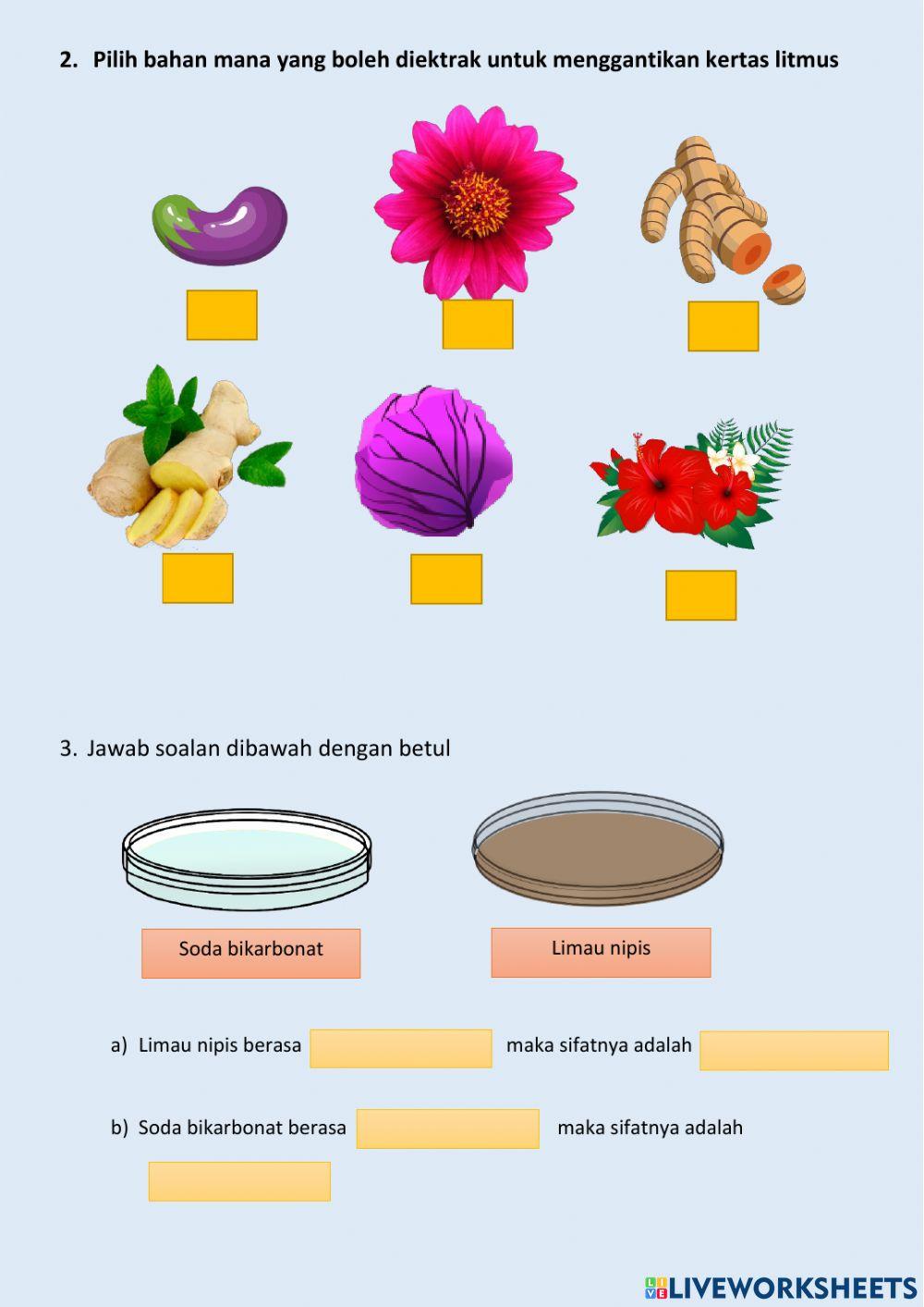 Sains tahun 3 - kegunaan bahan berasid beralkali serta pengganti kertas litmus