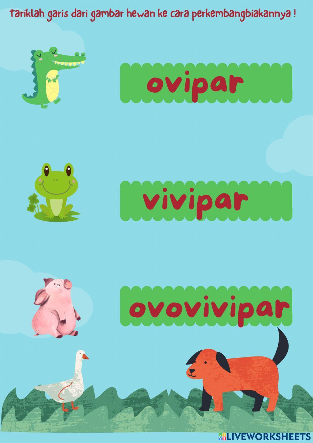 Perkembangbiakan Hewan