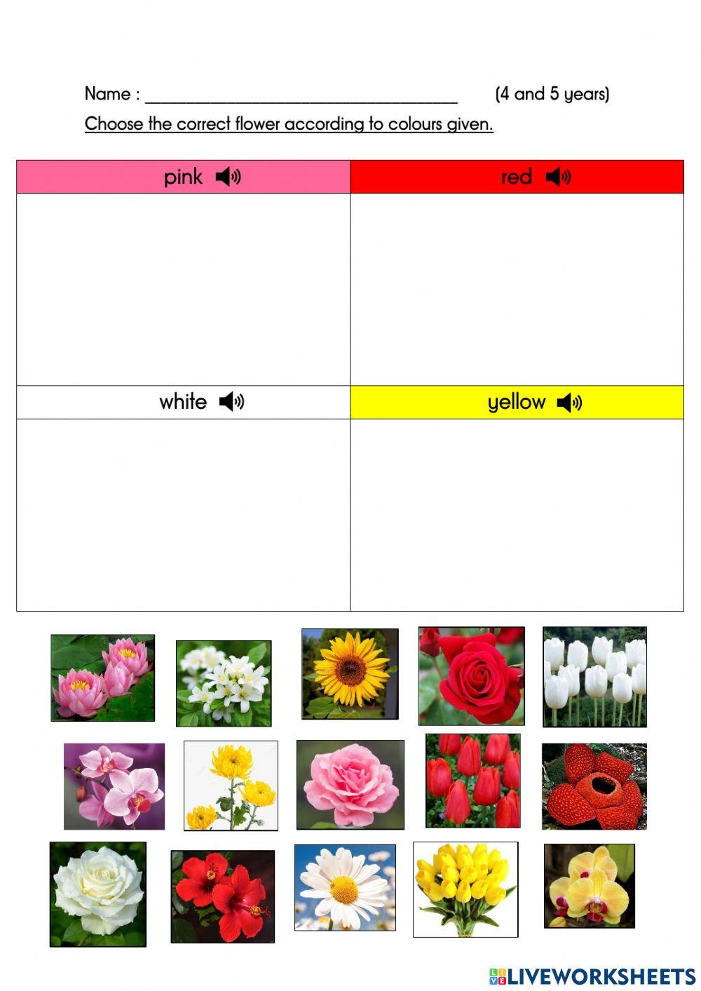 Listen and Recognise Colour