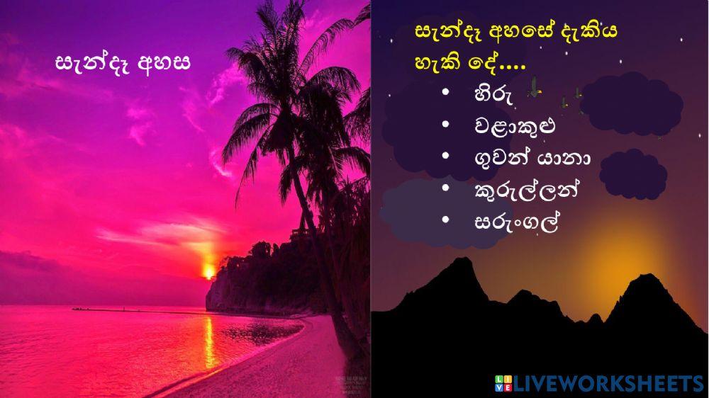 අපට පෙනෙන අහස 2 - ශ්‍රේණිය