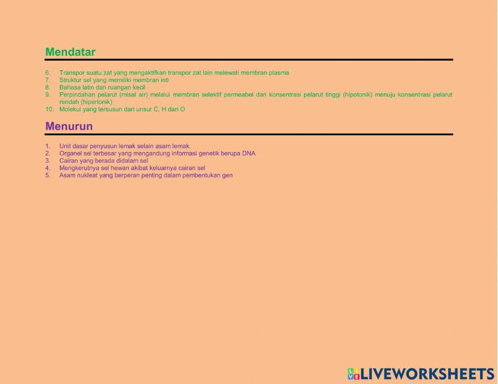 Teka Teki Silang Sel