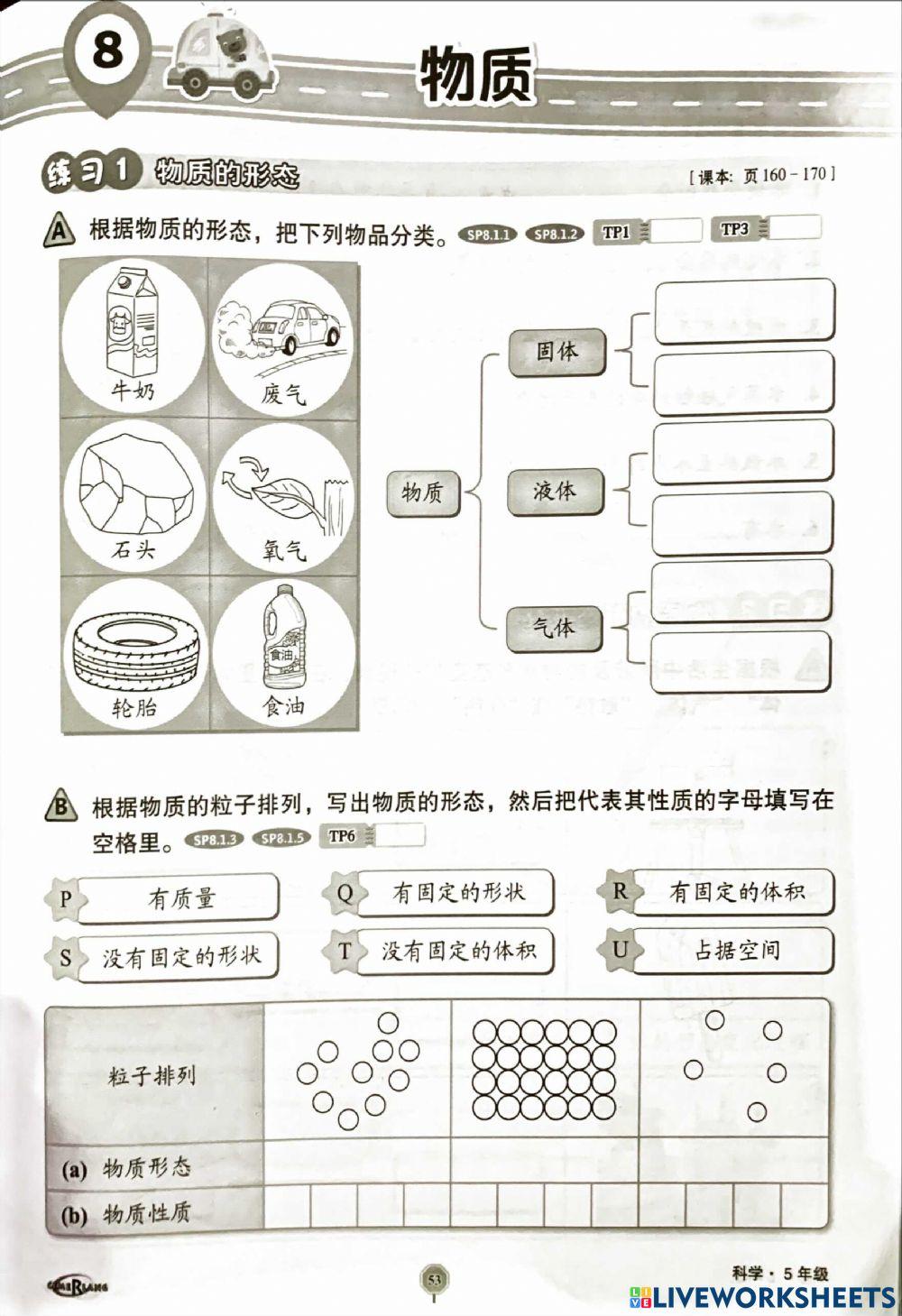 第八课《物质》