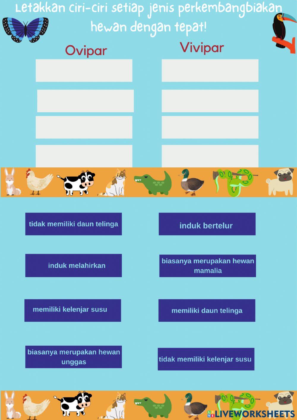 Perkembangbiakan Hewan