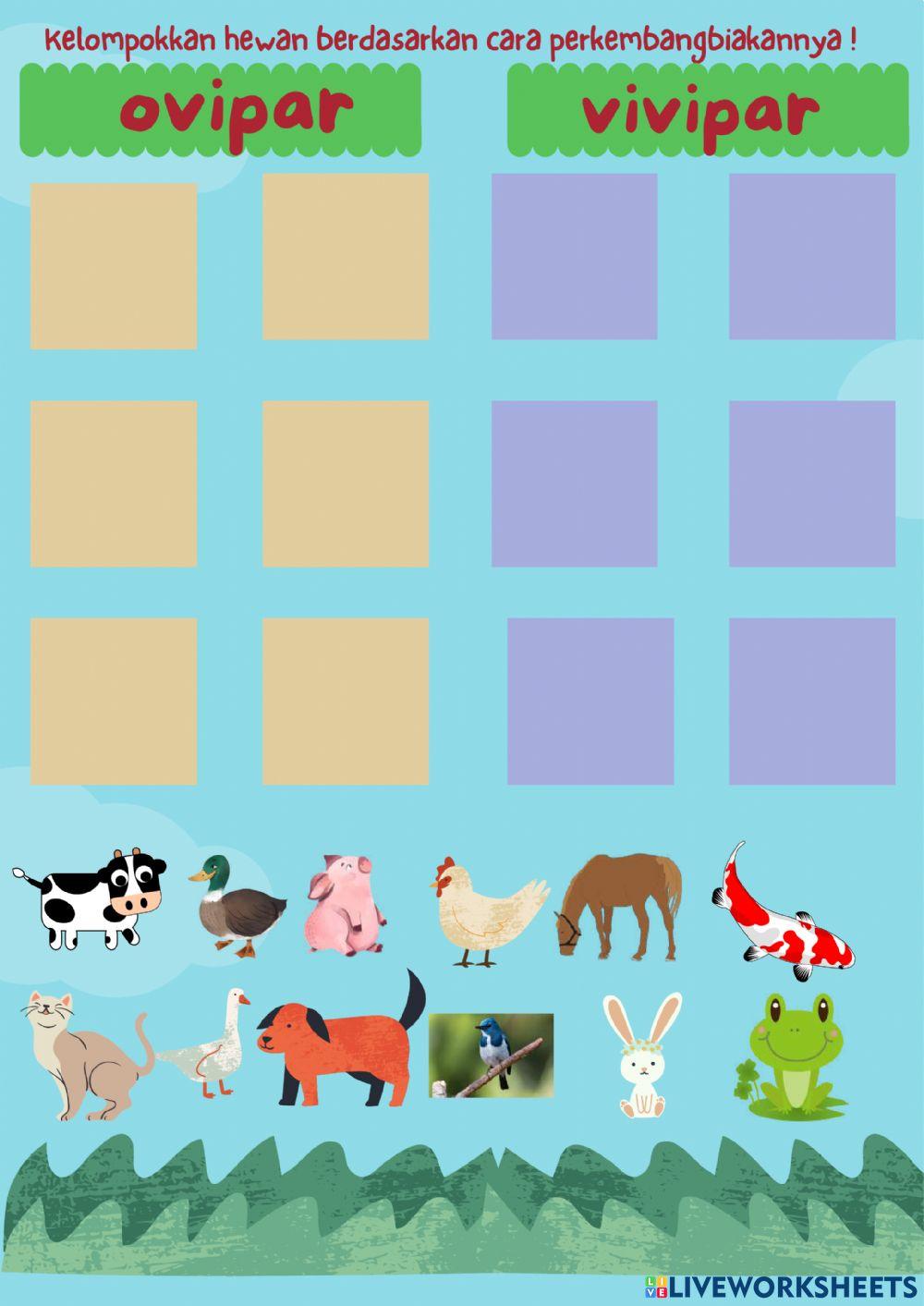 Perkembangbiakan Hewan