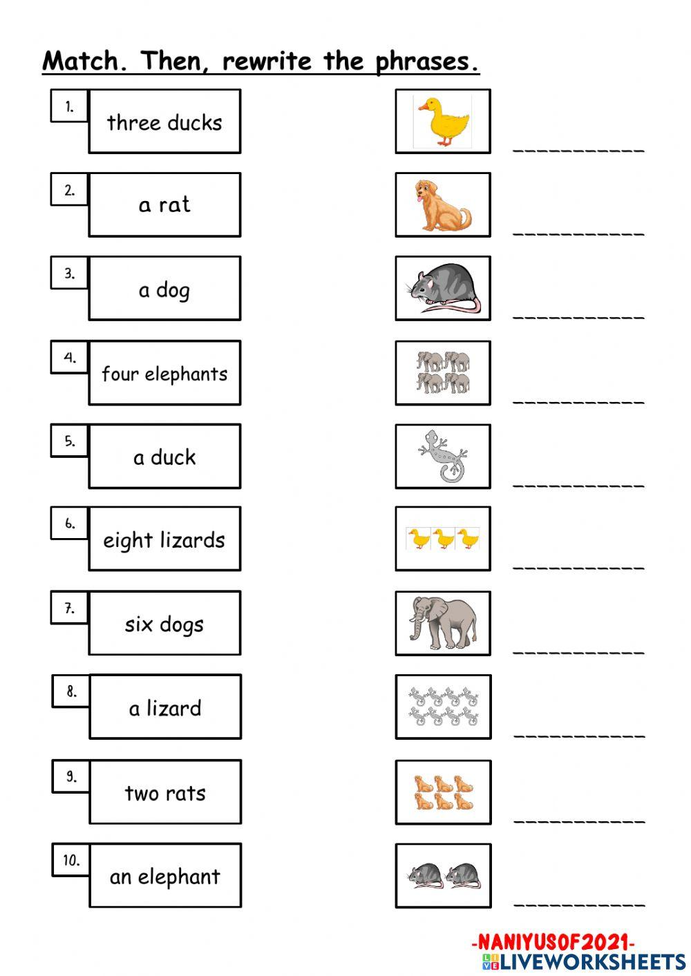 Singular and plural nouns (animals)