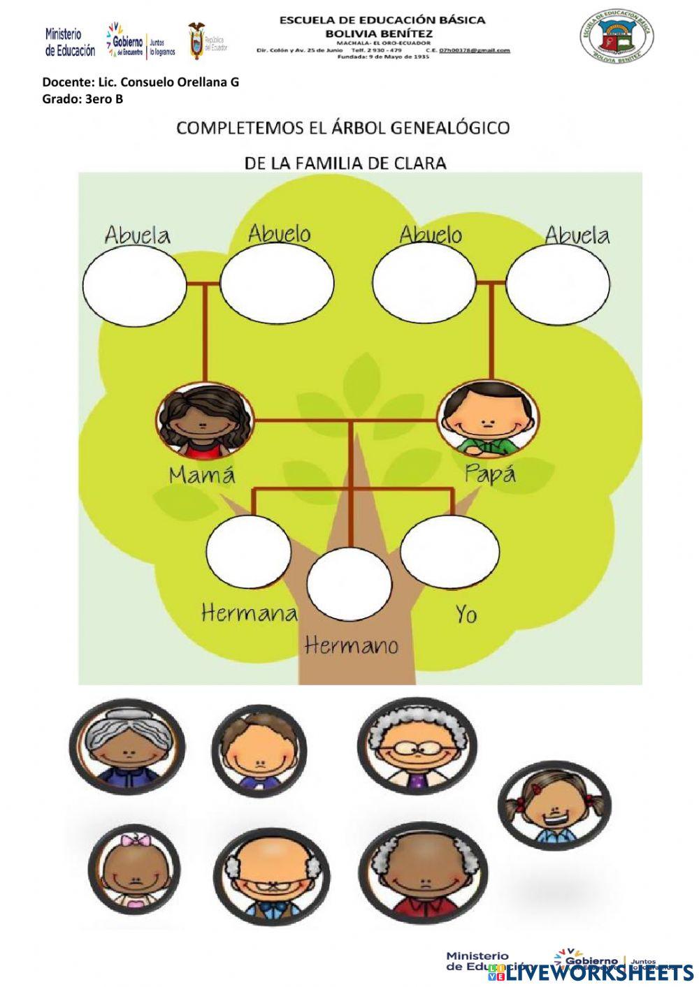 El arbol geneologico