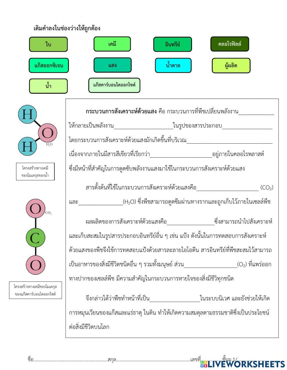 การสังเคราะห์ด้วยเเสง