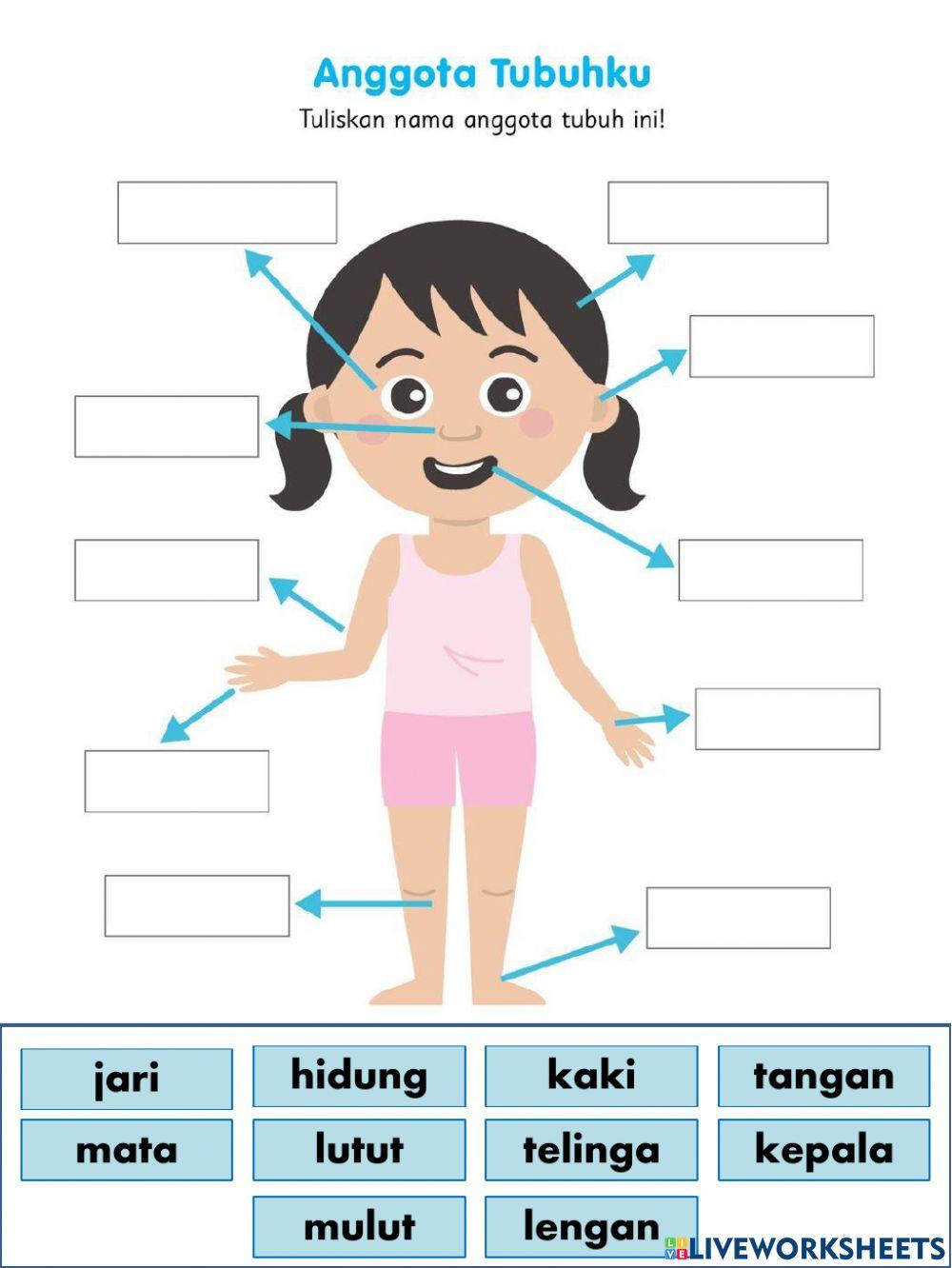Lembaran Kerja Anggota Badan Kartun Mengenal Anggota Tubuh Worksheet