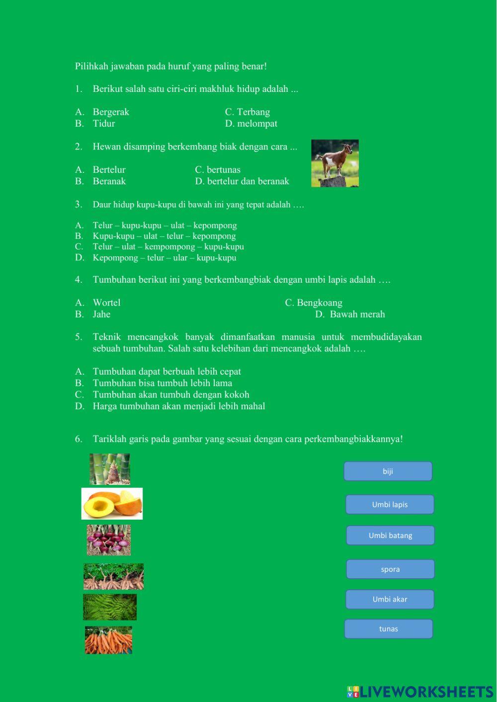 Formatif tema 1 bindo