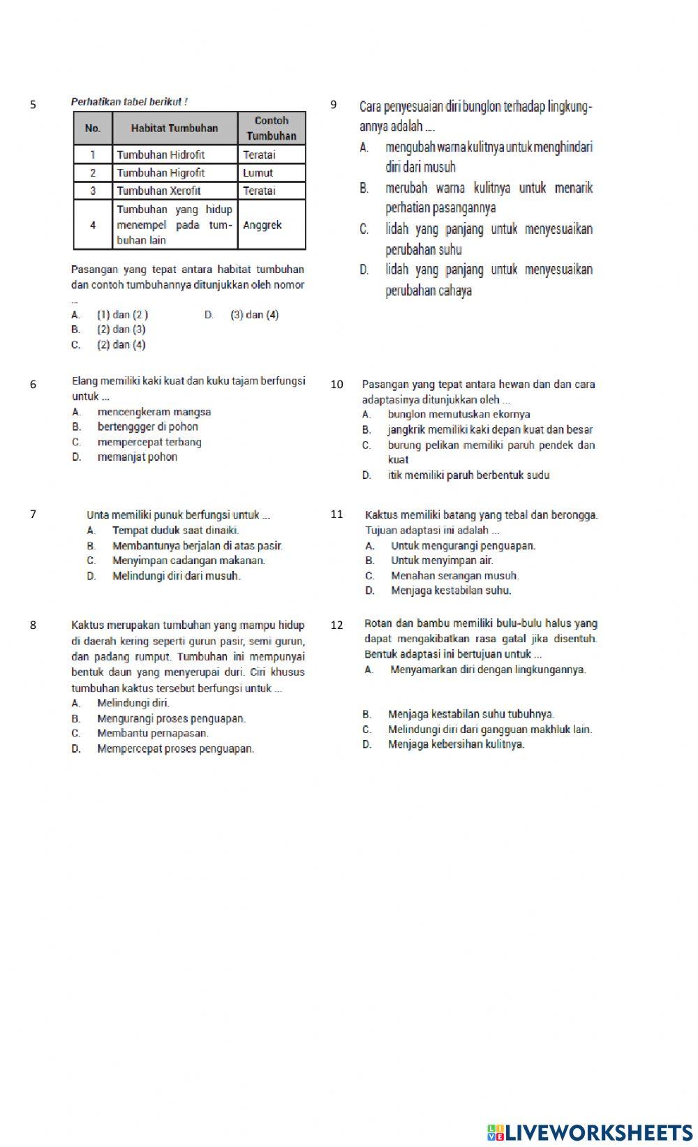 Soal pemantapan ipa 2