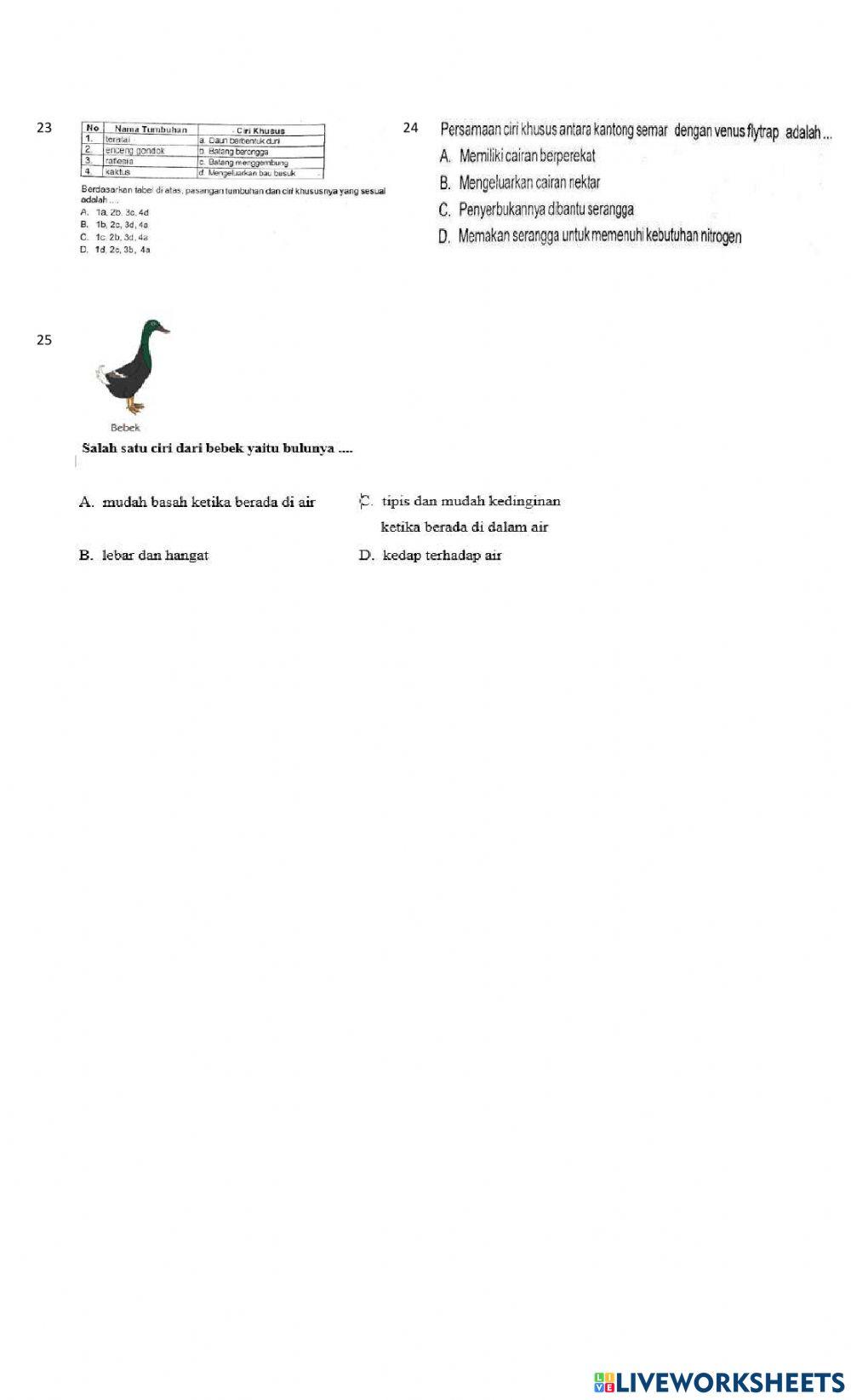 Soal pemantapan ipa 2