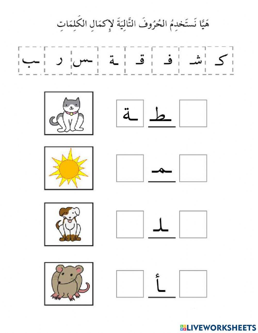 تدريب على قراءة الكلمة مع الصورة