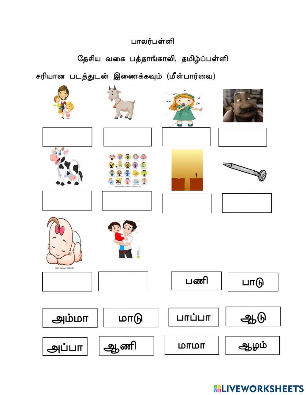 Tamil Tamil