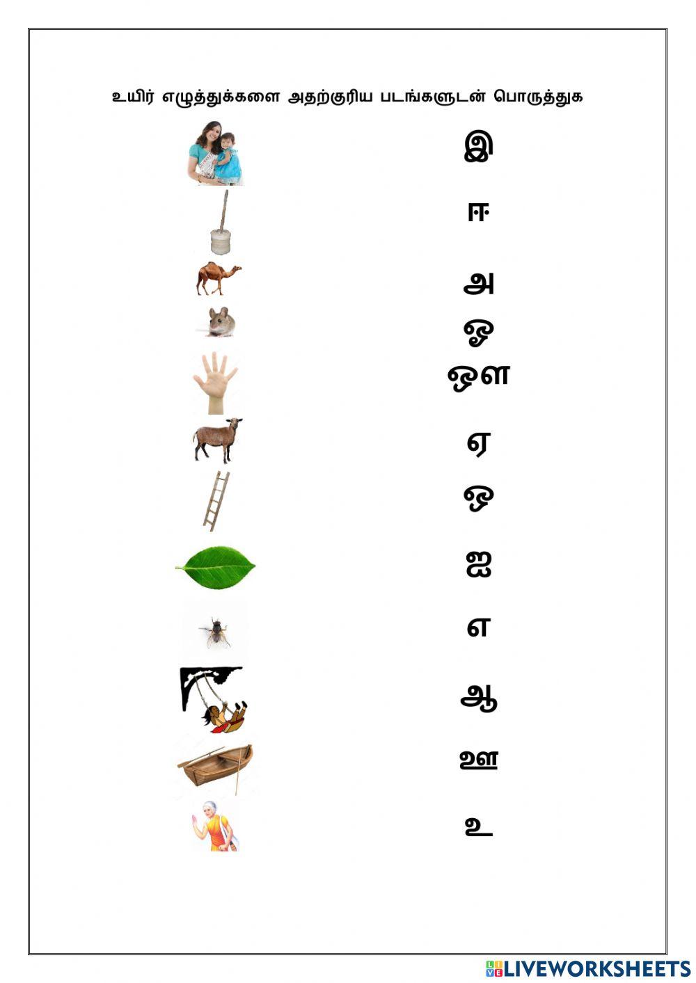 Beginner Tamil Worksheet For Kindergarten vrogue co