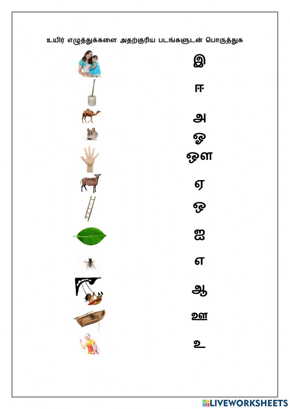 தமிழ் உயிர் எழுத்துகள், Uyir Ezhuthukal  Tamil Worksheet