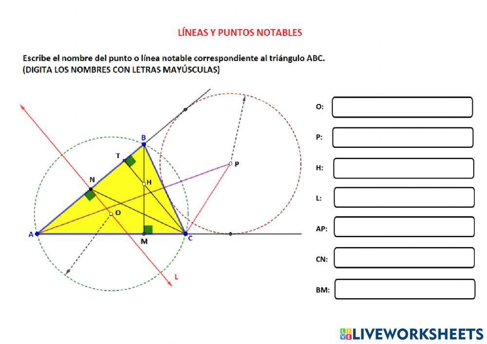 Líneas y puntos notables