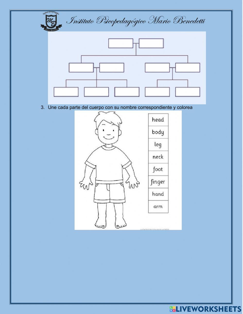 Olimpiadas de ingles
