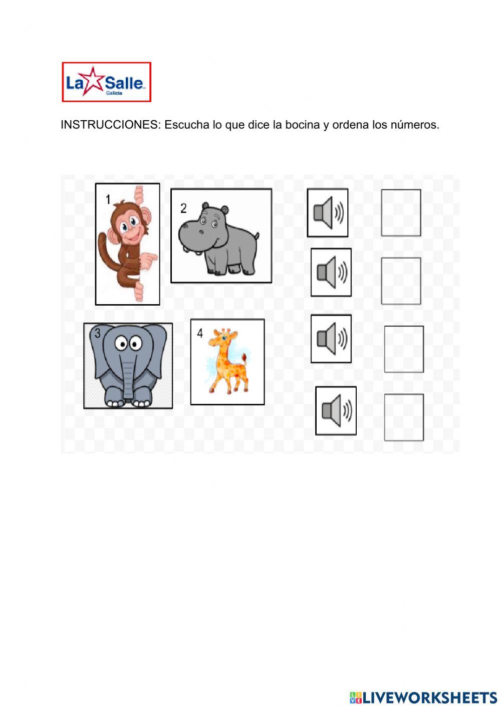 Animales de la Selva