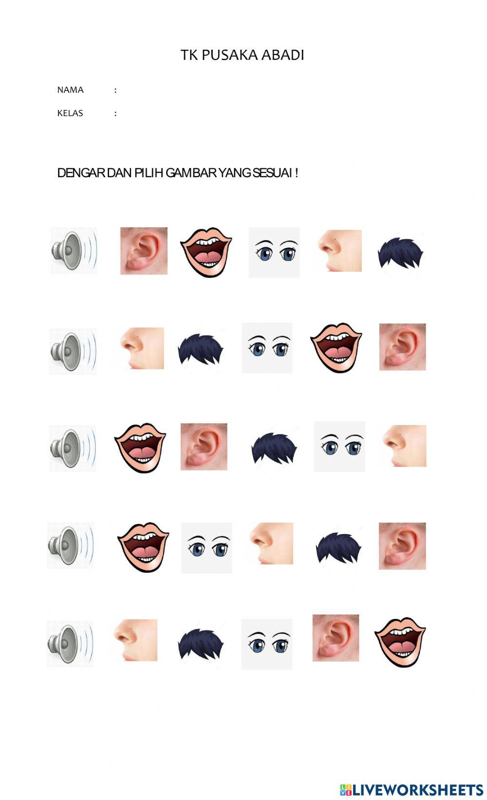 Mengenal anggota tubuh