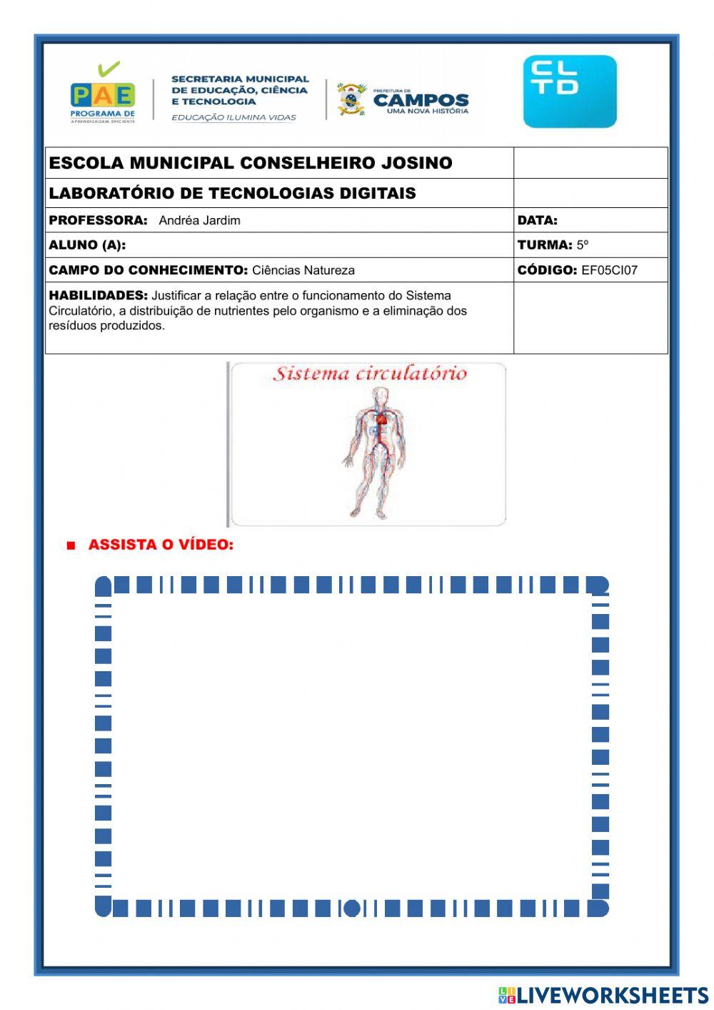 Sistema circulatório