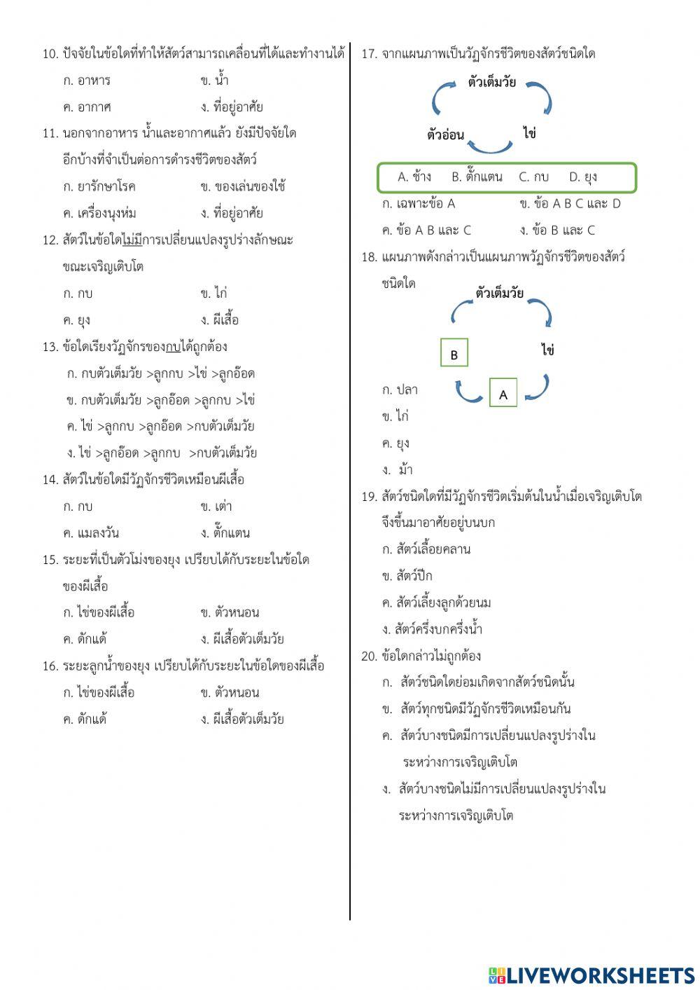 แบบทดสอบวิทยาศาสตร์ ป.3 ตอนที่ 1 