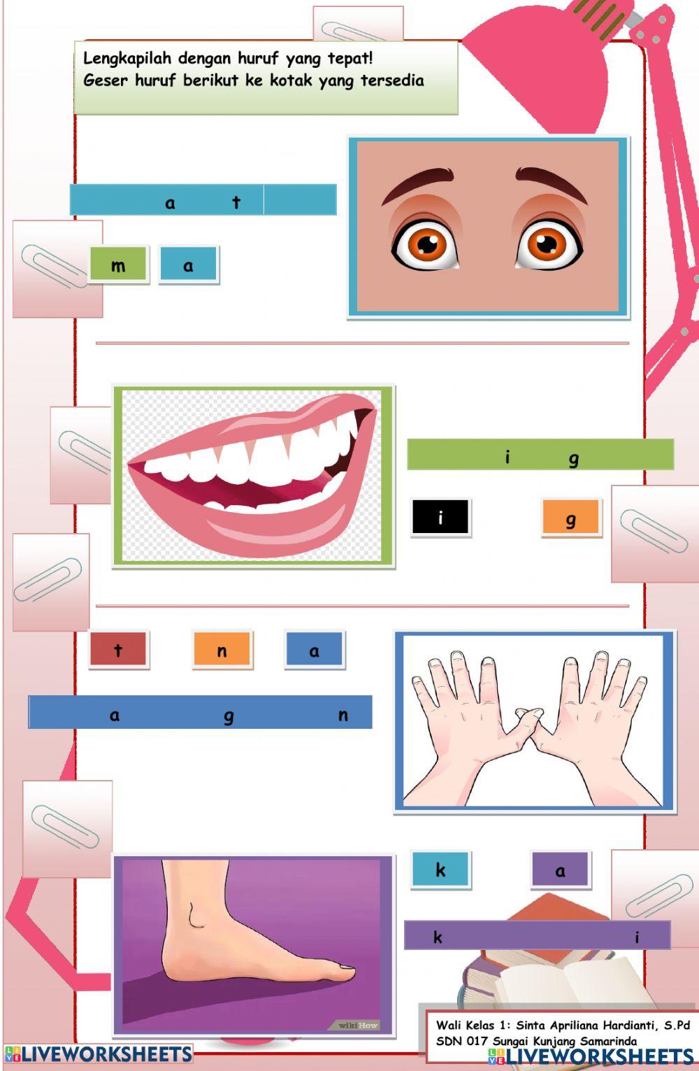 1 subtema 2 pembelajaran 2
